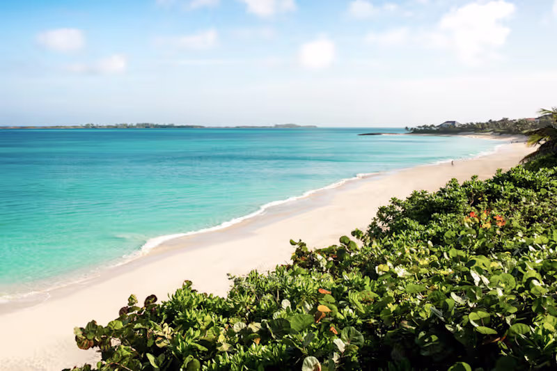 Cover image for Kahlua: A Braider, A Beach and A Ban —