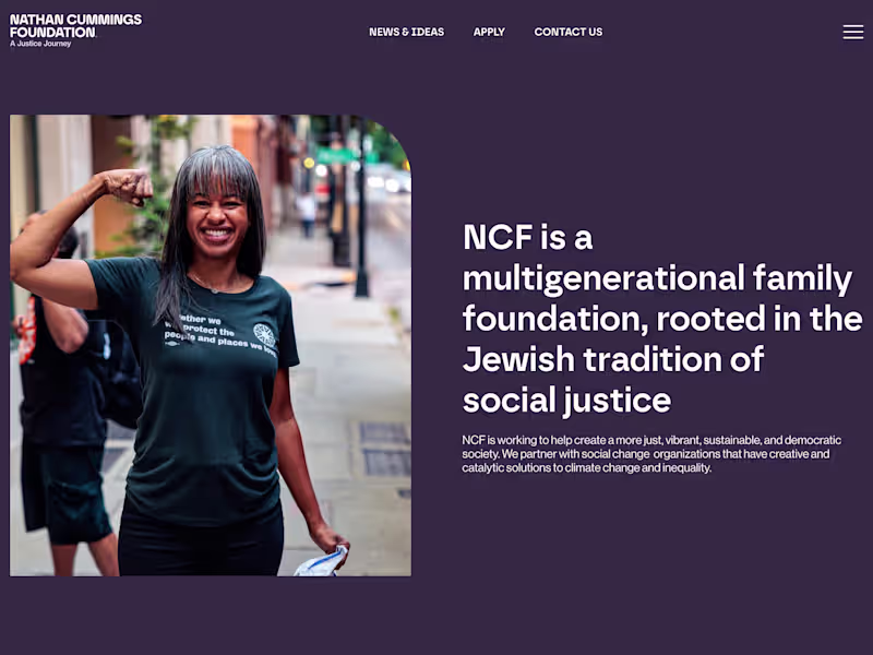 Cover image for Nathan Cummings Foundation