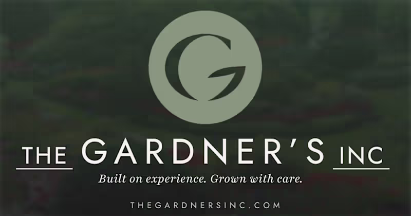 Cover image for Brand Identity for Mission-Driven Teams