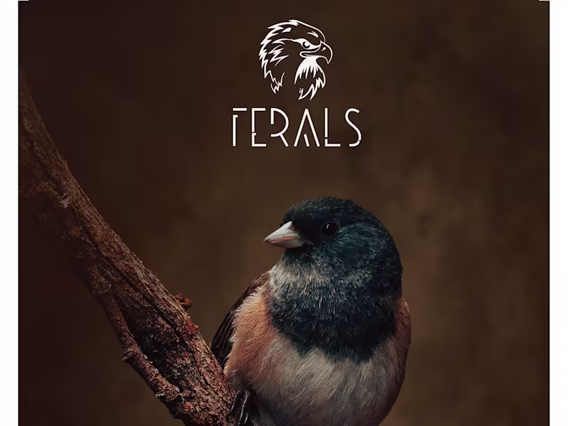 Cover image for Editorial Design for Wildlife Magazine