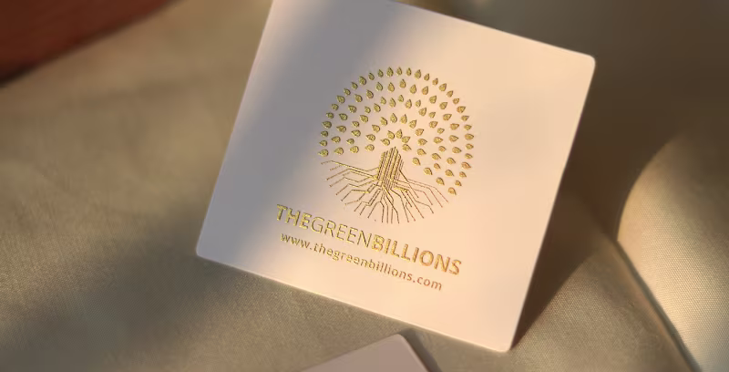 Cover image for THEGREENBILLIONS LTD. 
