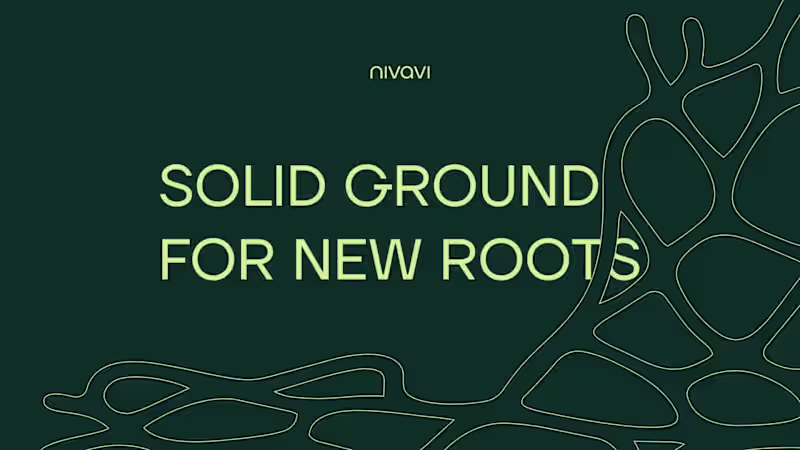 Cover image for Nivavi Brand Identity Design