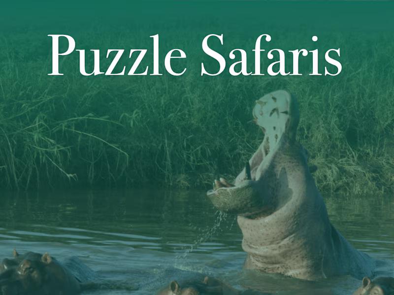 Cover image for Puzzle Safaris