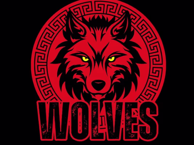 Cover image for DESIGNED LOGO