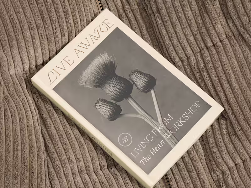 Cover image for Brand and Website Design for Sarah Blondin & Live Awake