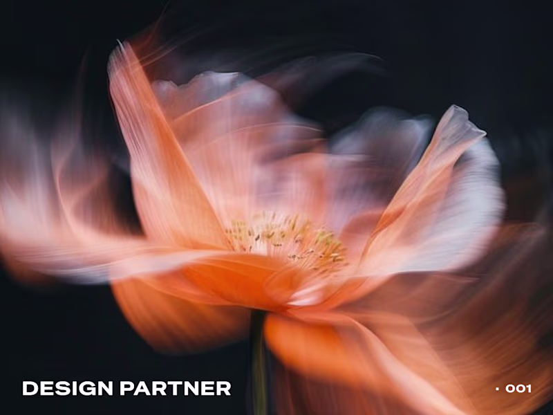 Cover image for Design Partner — Monthly Retainer