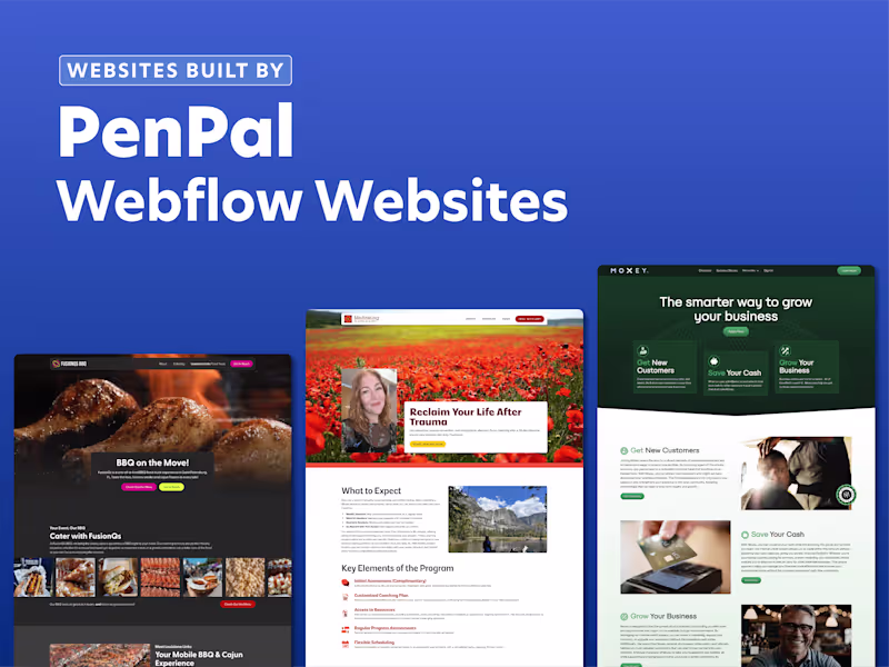 Cover image for Comprehensive Webflow Website