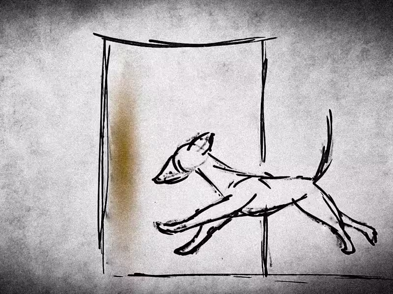 Cover image for Short Stories or Poetry and Everything In Between