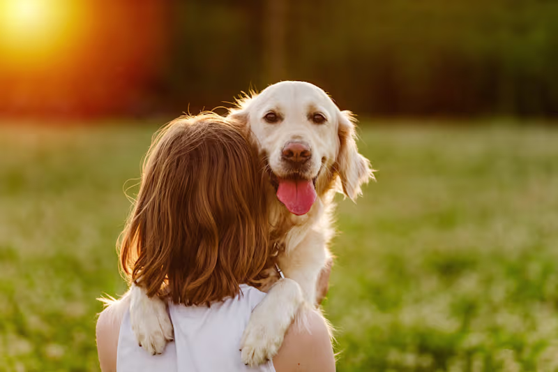 Cover image for Does Owning a Dog Really Help You Live Longer?