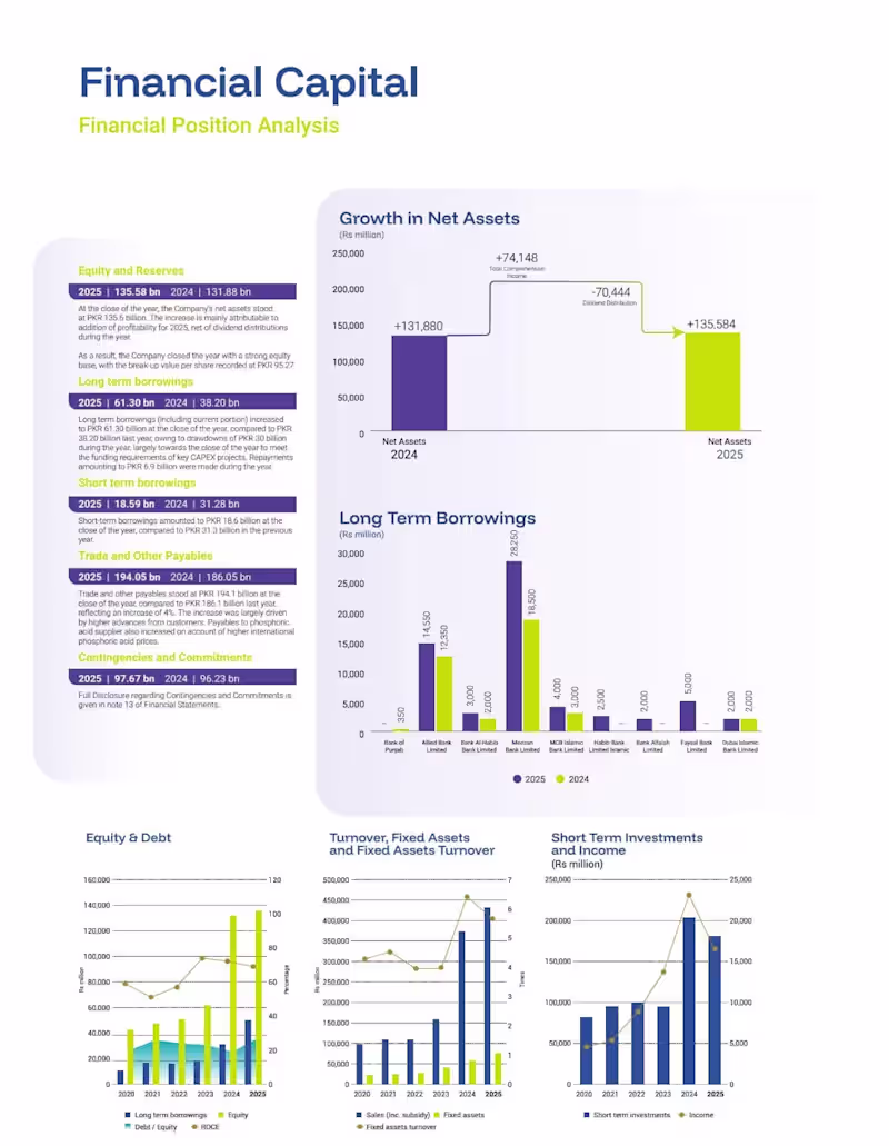 Cover image for Financial Capital Report (Financial Position