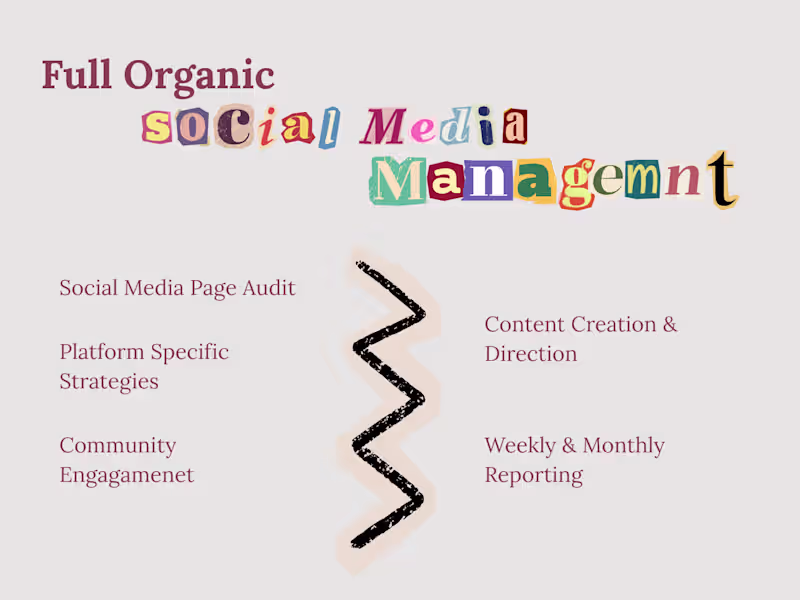 Cover image for Organic Data Backed Social Media Management