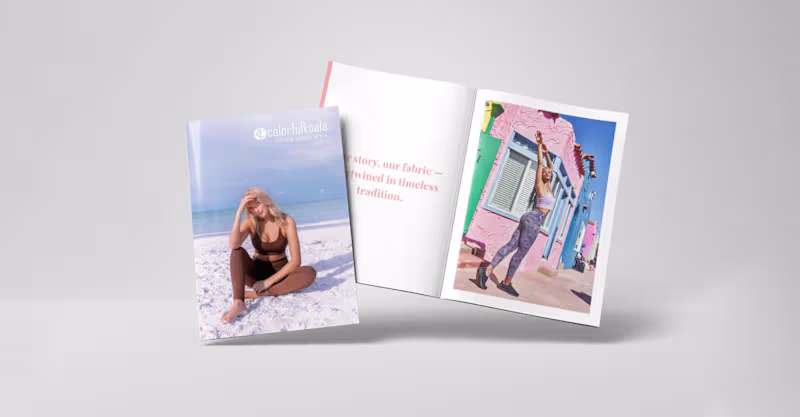 Cover image for Colorful Koala - VI and Social Brand Books