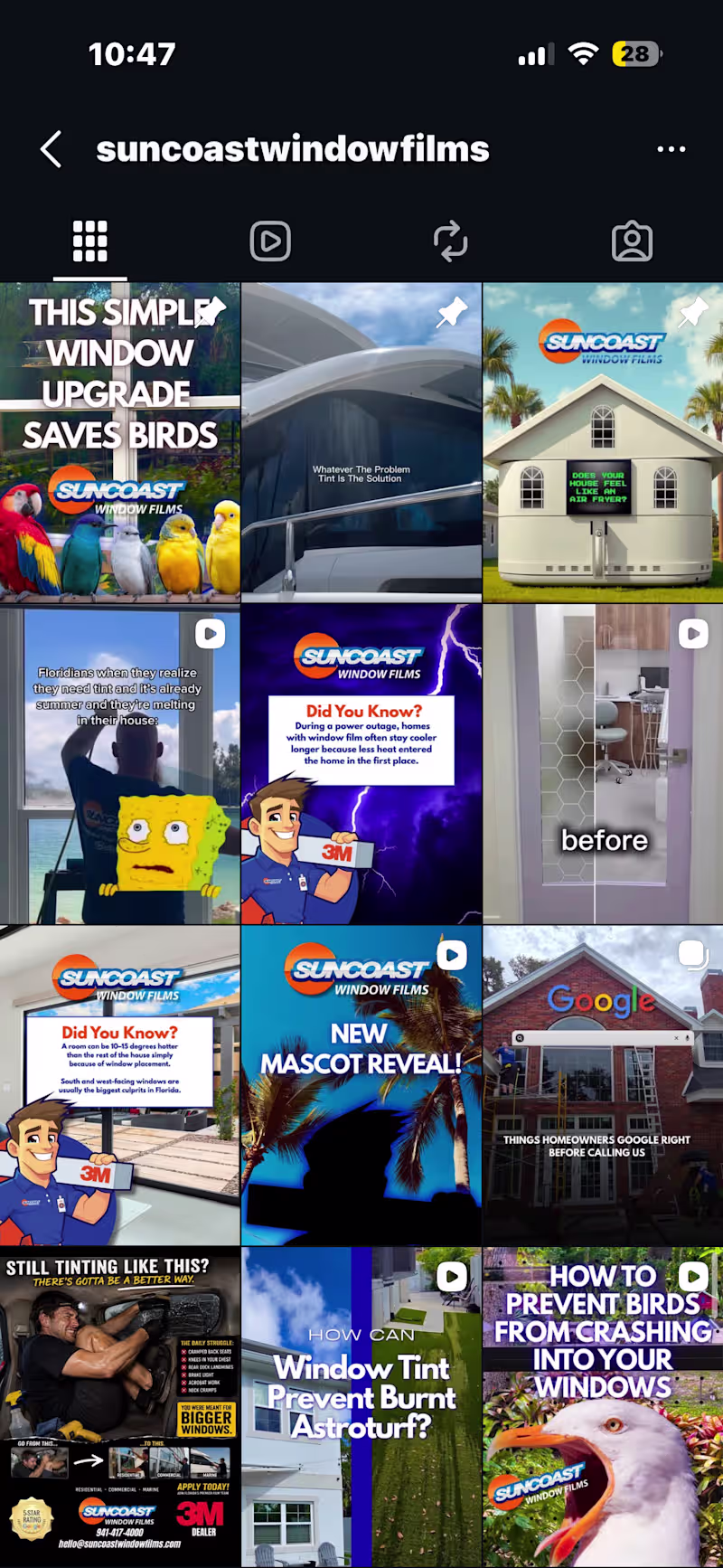 Cover image for Social Media Strategy + Content Creation