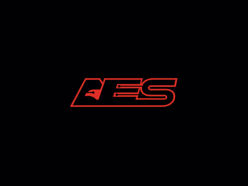 Cover image for AES ( American Eagle Solutions