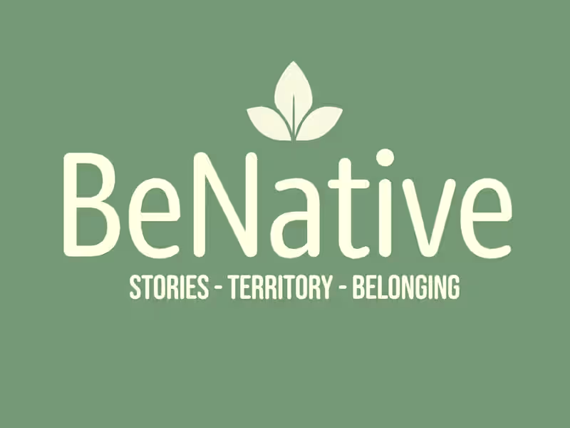 Cover image for BeNative: Presentation Video
