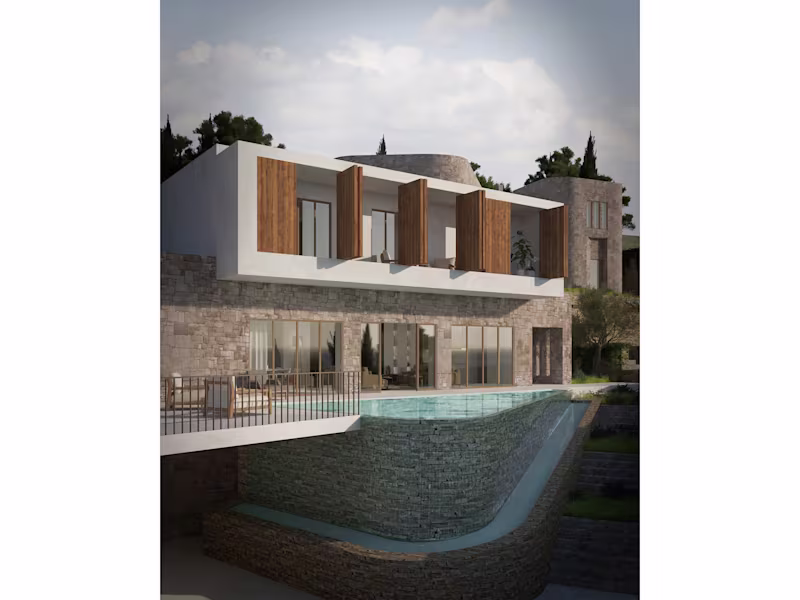 Cover image for The central house becomes the