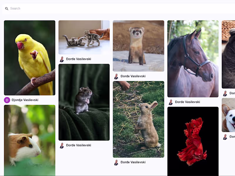Cover image for Petsgram
