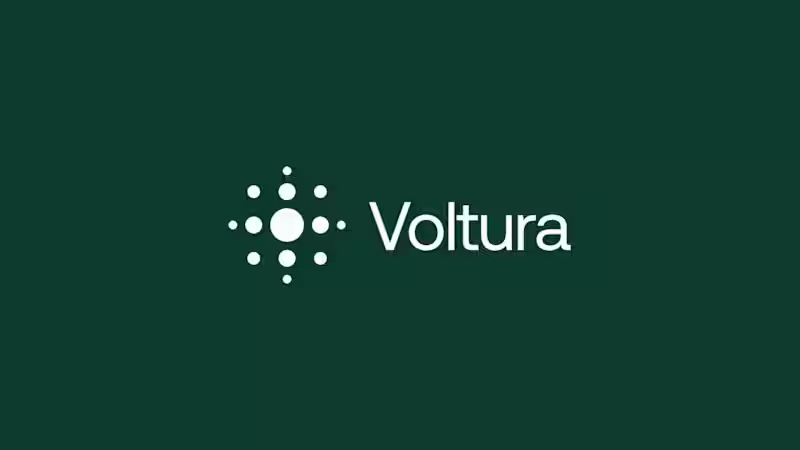 Cover image for Brand Identity for Voltura