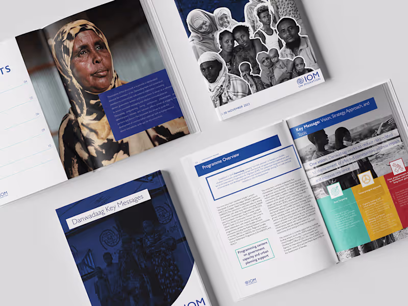 Cover image for IOM SOMALIA- FACTSHEET
