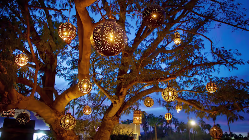 Cover image for Los Cabos Hidden Gems (Part 3): Holiday Season Edition - South …