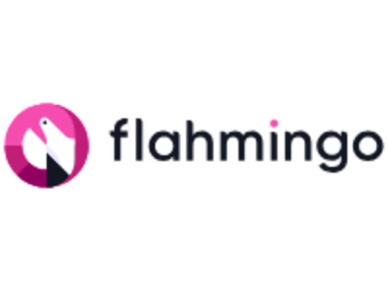 Cover image for Flahmingo Investments