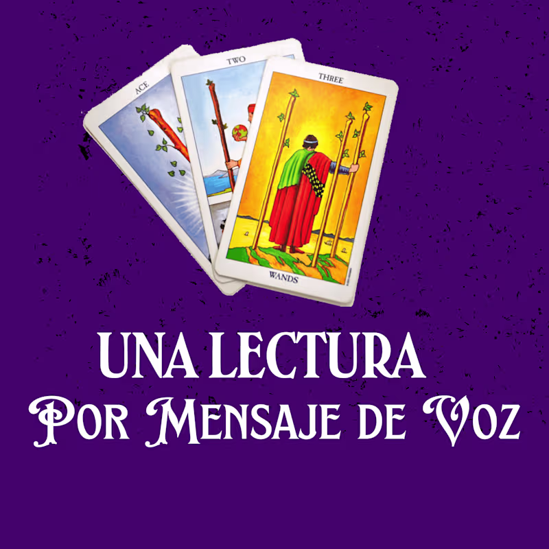 Cover image for Una lectura por Mensaje de Voz