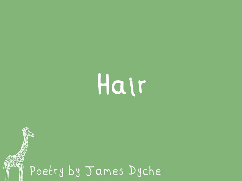 Cover image for 'Hair' Oh hair, up there, what are you doing? You are chaos ...