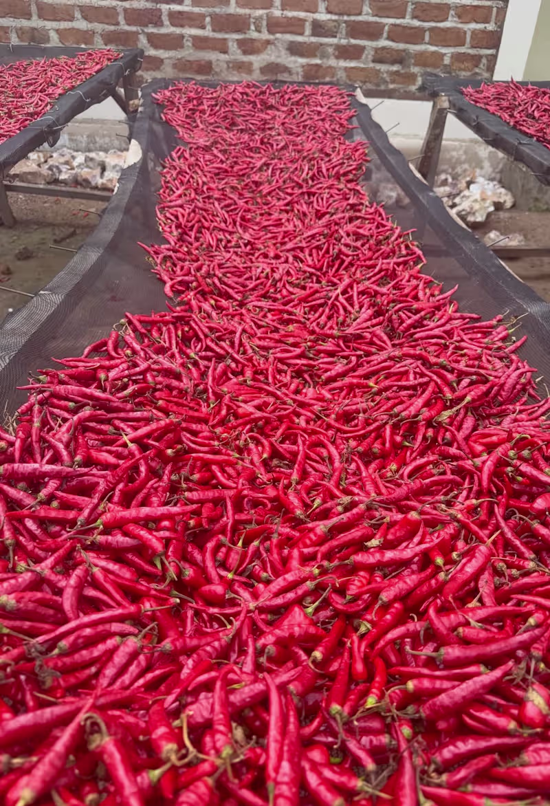 Cover image for The Heist: From Farm to Luxury Condiment Brand