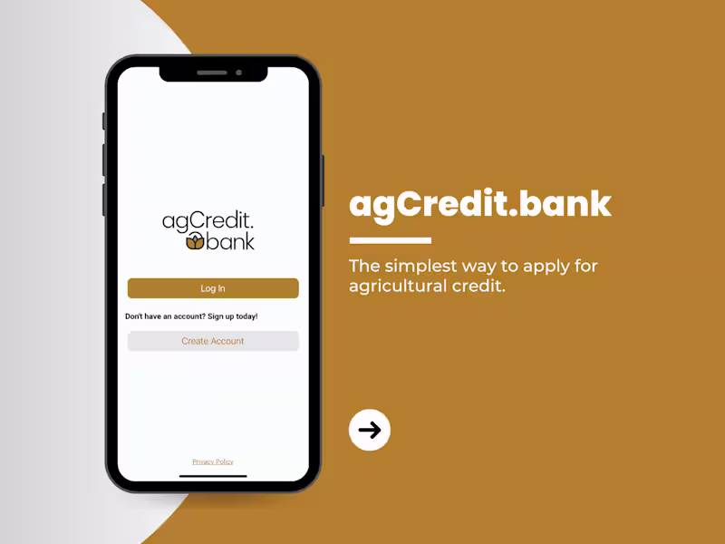 Cover image for Digital Lending App Design