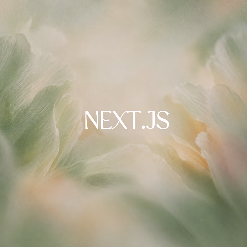 Cover image for Next.js Website & Web App Development for Startups