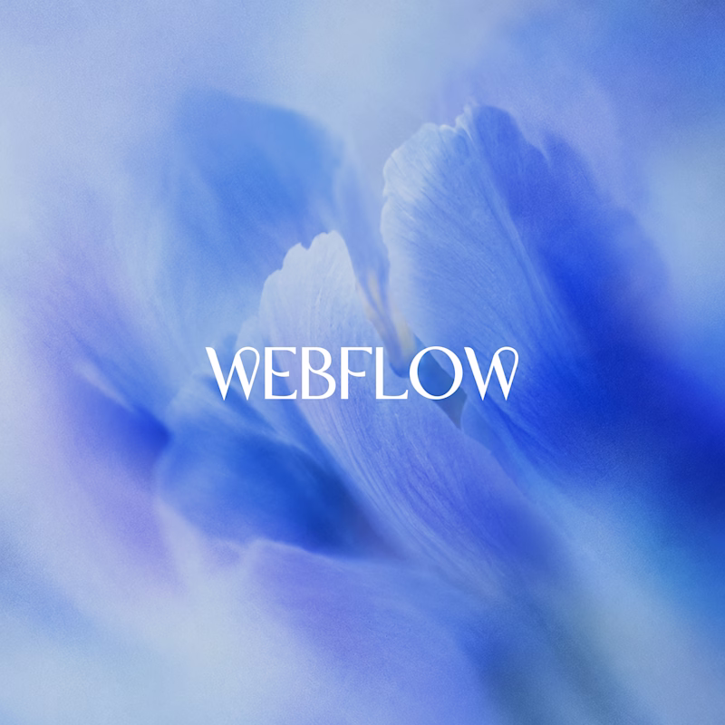 Cover image for Webflow Website Design & Development for Startups