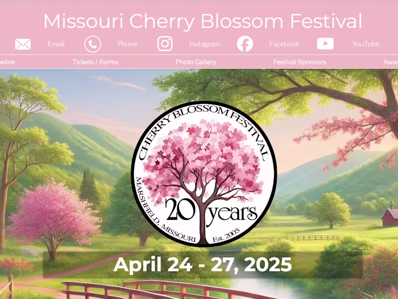 Cover image for Professional Website Design