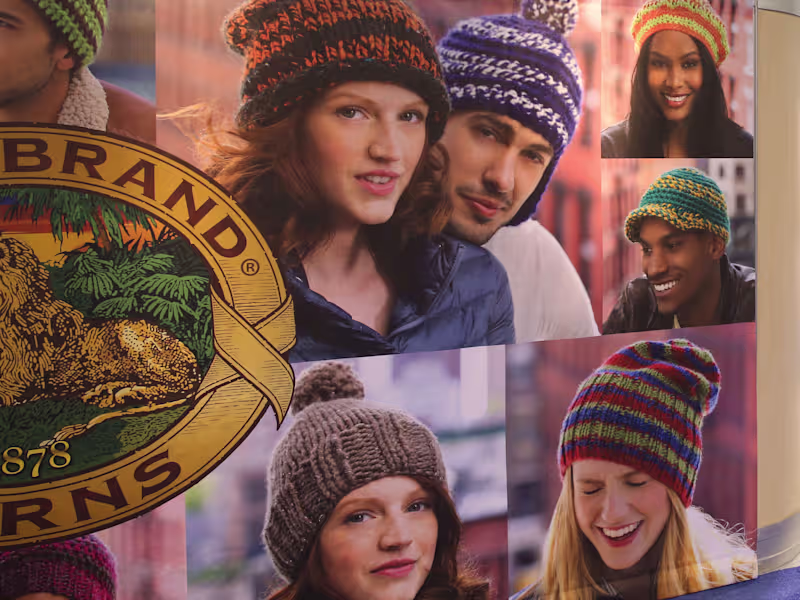 Cover image for Lion Brand Yarns | Branding