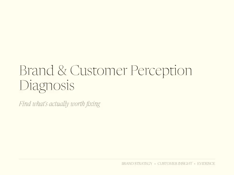 Cover image for Brand & Customer Perception Diagnosis