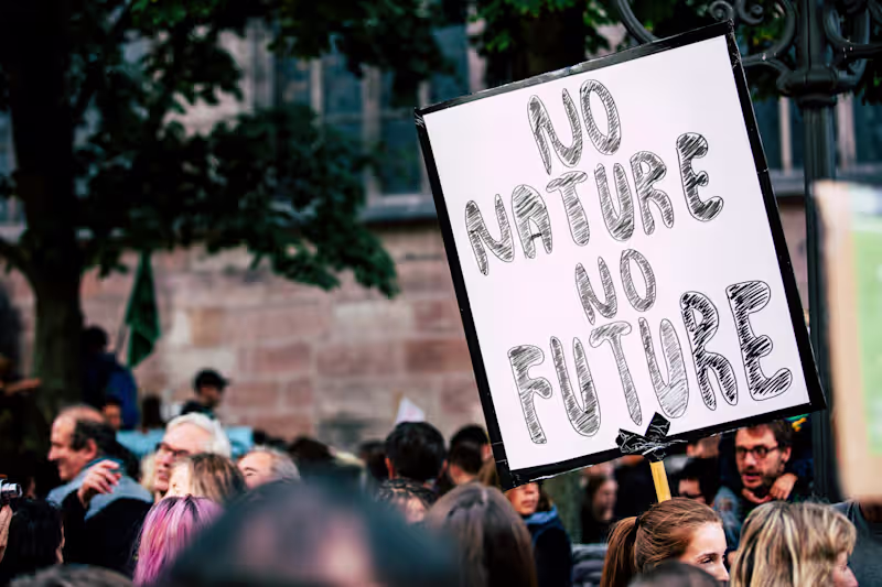 Cover image for Article: Industrialization and Climate Change