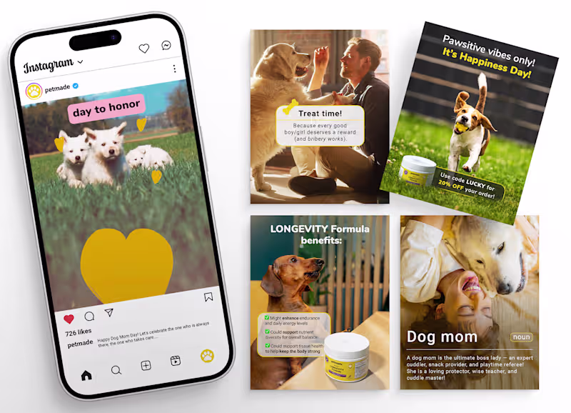 Cover image for Organic Social