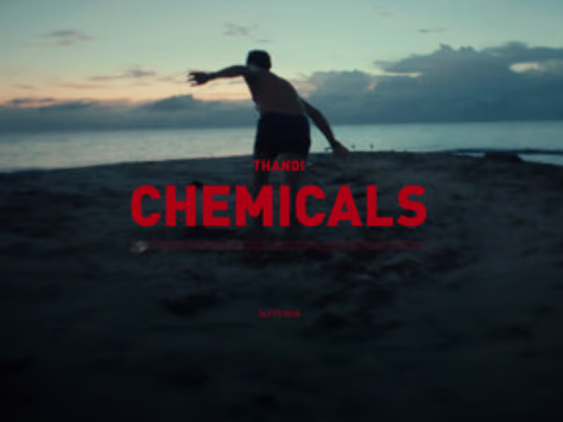 Cover image for Chemicals