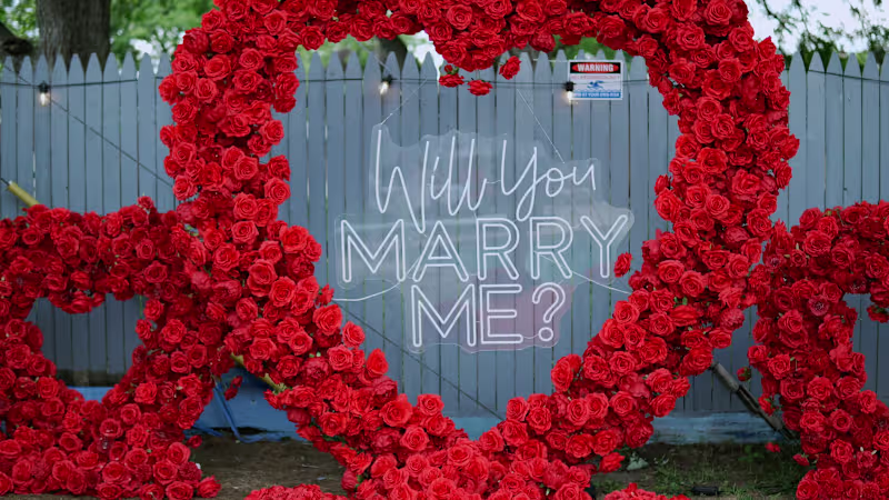 Cover image for Backyard Proposal Video Production