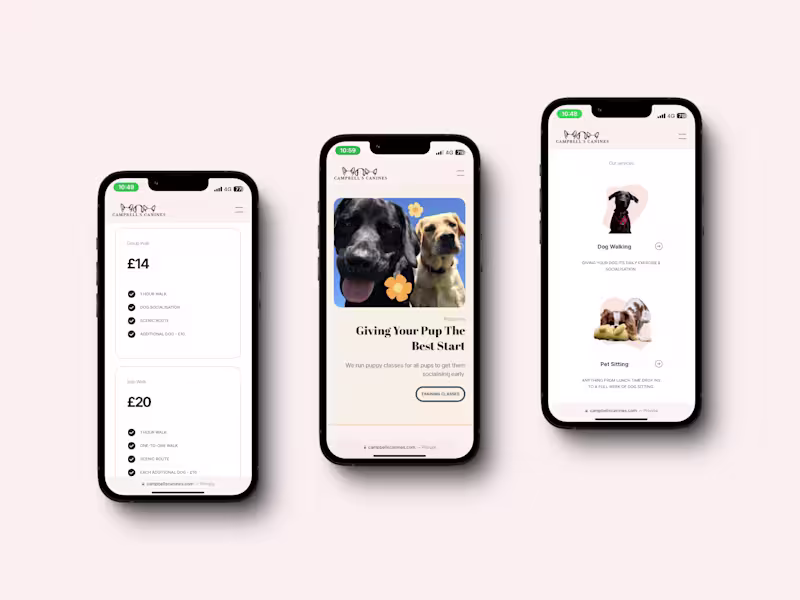 Cover image for Framer Website Development: Stunning, Fast, and Custom-Built!