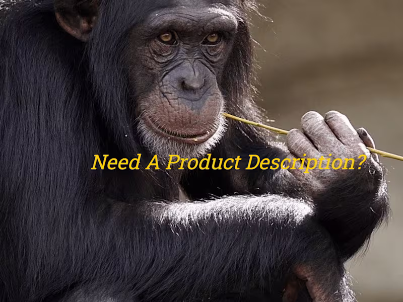 Cover image for Product description