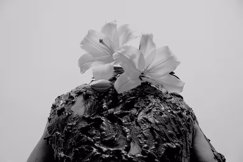 Cover image for A-typical photoshooting. 
A visual project