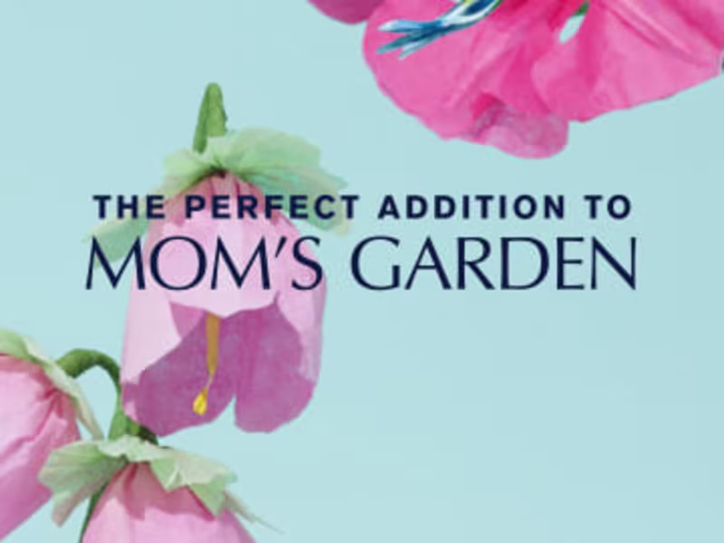 Cover image for Esteé Lauder | Beautiful Magnolia Mother's Day Animation