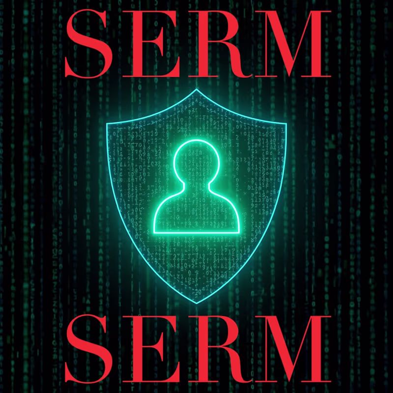 Cover image for Reputation Management (SERM)