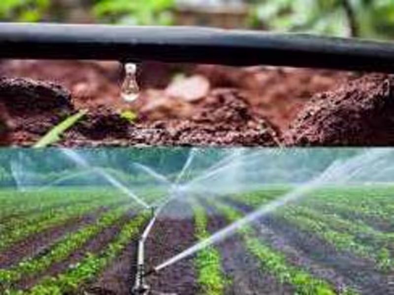 Cover image for Distinguishing between the Drip/Sprinkler System 