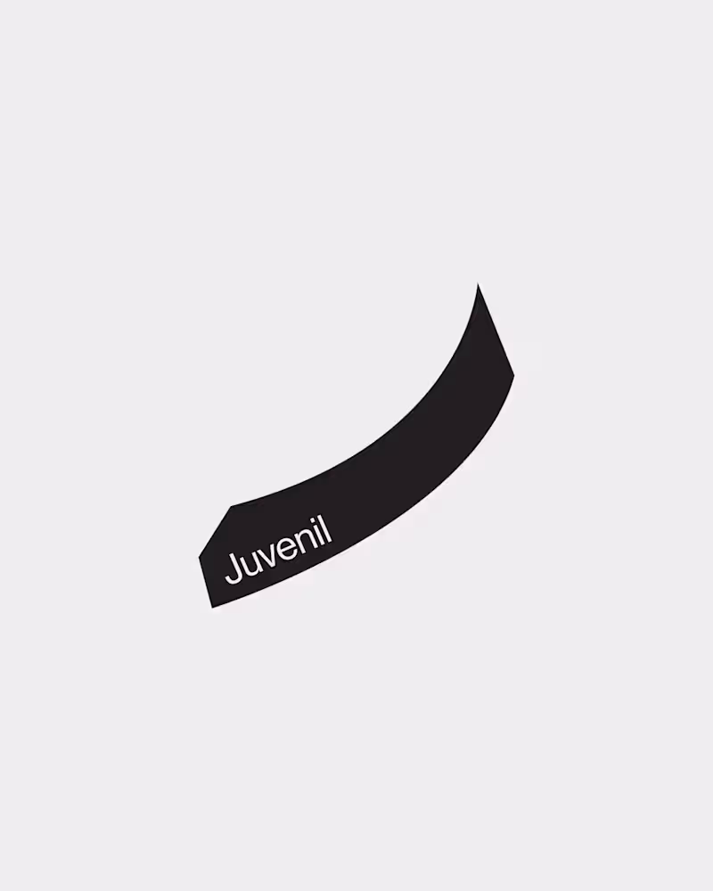Cover image for Juvenil