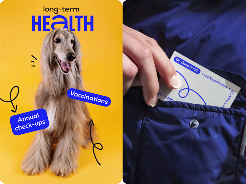 Cover image for "Woofix" veterinary clinic 