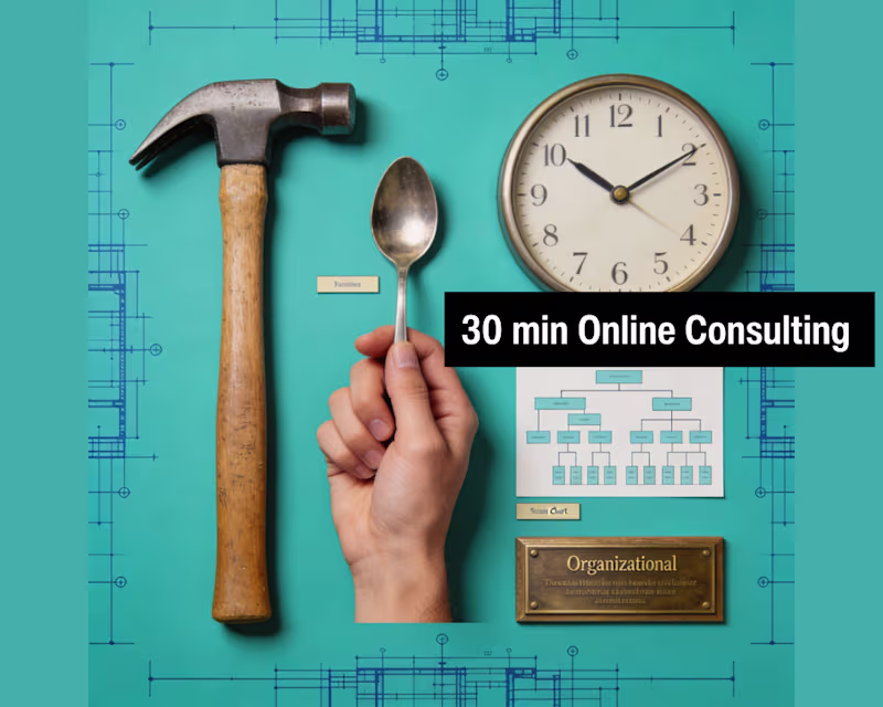 Cover image for Online business consulting (30 Min video)