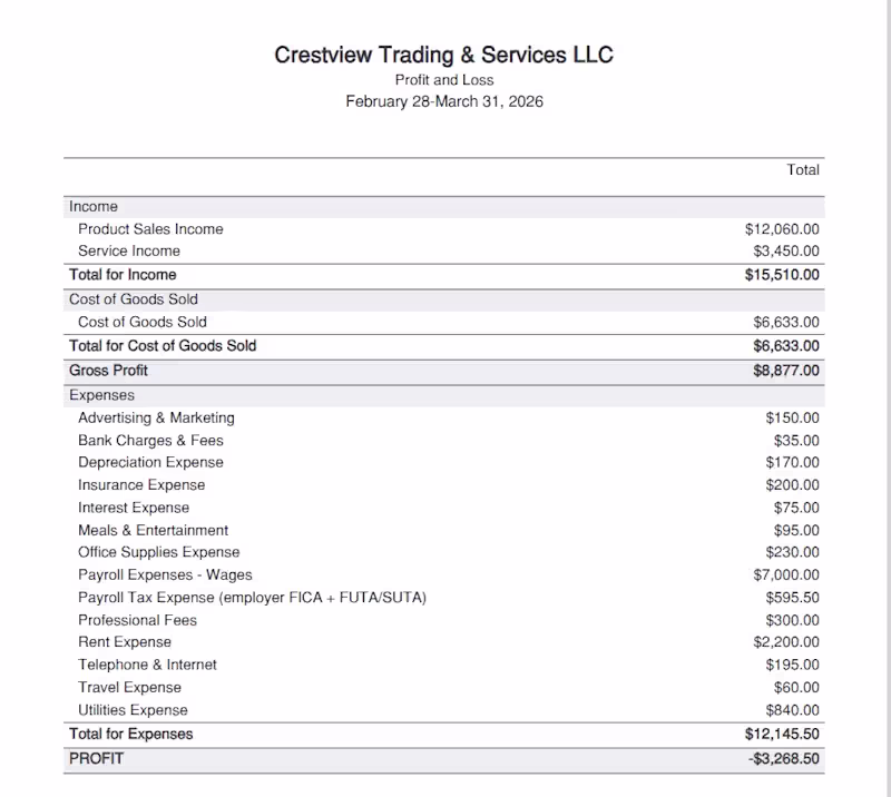 Cover image for Financial Statements & Profit and