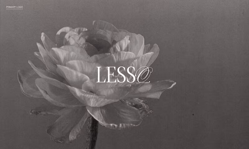 Cover image for Lesso 🩰 Branding Identity + Web Design 