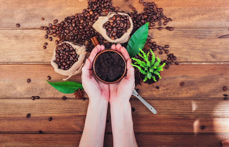 Cover image for DIY Simple and Easy Coffee Scrub Recipes in 2023